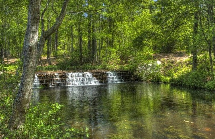 Sesquicentennial State Park, South Carolina, USA